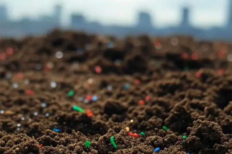 microplastics-in-soil Microplastics in soil